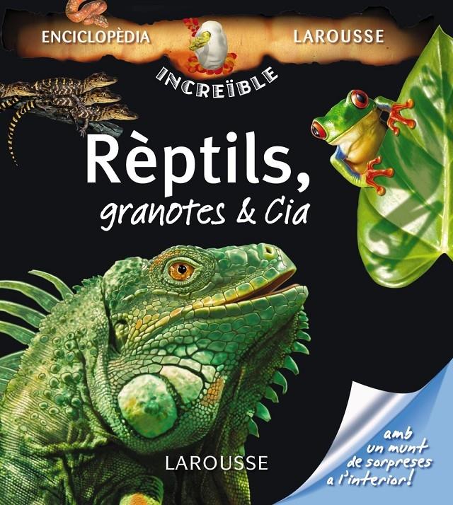 REPTILS, GRANOTES & CIA | 9788480166997