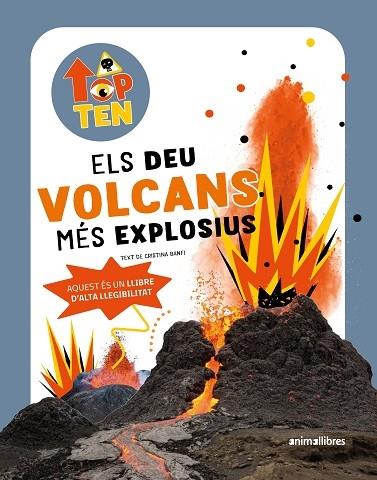 ELS DEU VOLCANS MES EXPLOSIUS | 9788419659545