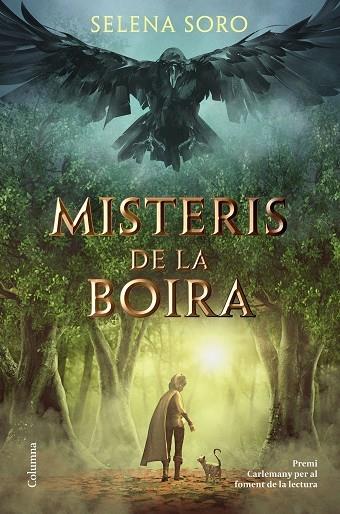 MISTERIS DE LA BOIRA | 9788466426619 | SELENA SORO