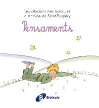 PENSAMENTS | 9788499061245 | ANTOINE DE SAINT-EXUPERY