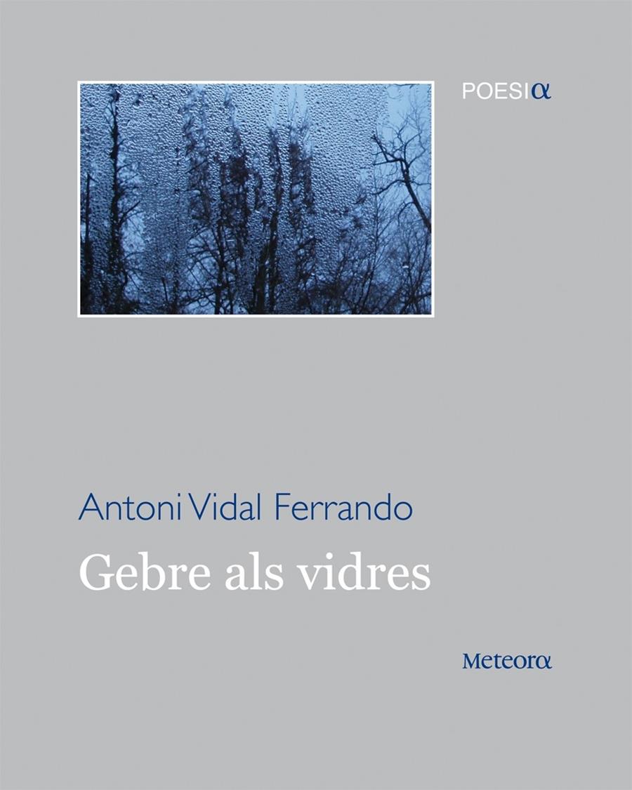 GEBRE ALS VIDRES | 9788492874569 | ANTONI VIDAL FERRANDO