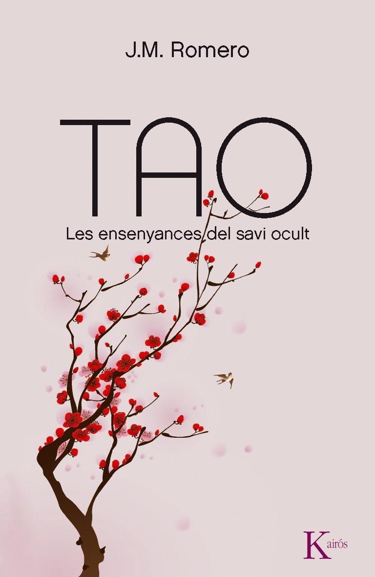 TAO. LES ENSENYANCES DEL SAVI OCULT | 9788499881805 | J.M. ROMERO