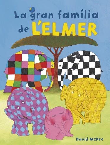 LA GRAN FAMILIA DE L'ELMER | 9788448855376 | DAVID MCKEE