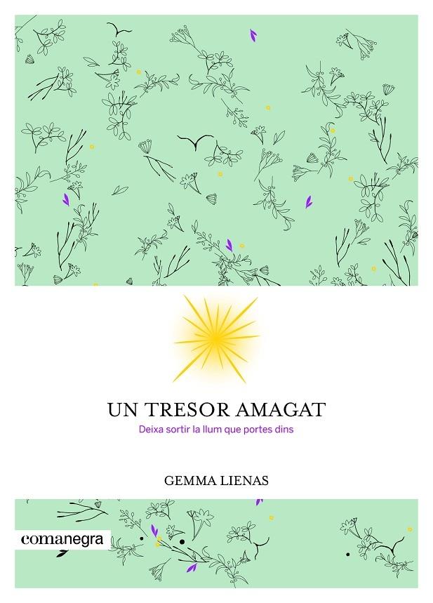 UN TRESOR AMAGAT | 9788416605347 | GEMMA LIENAS