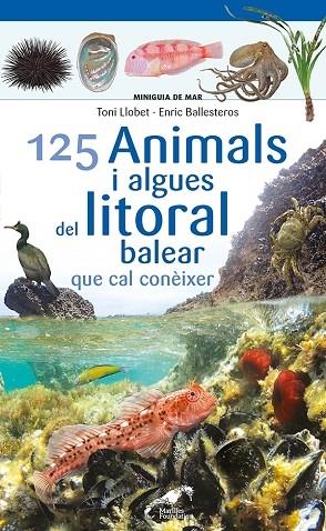 125 ANIMALS I ALGUES DEL LITORAL BALEAR QUE CAL CONEIXER | 9788413562704 | TONI LLOBET / ENRIC BALLESTEROS