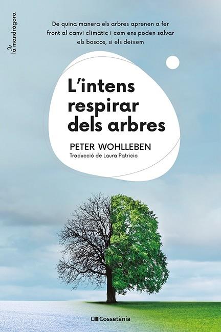 L'INTENS RESPIRAR DELS ARBRES | 9788413562087 | WOHLLEBEN,