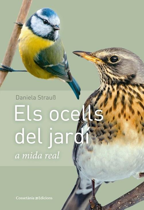 ELS OCELLS DEL JARDI A MIDA REAL | 9788490347461 | DANIELA STRAUS