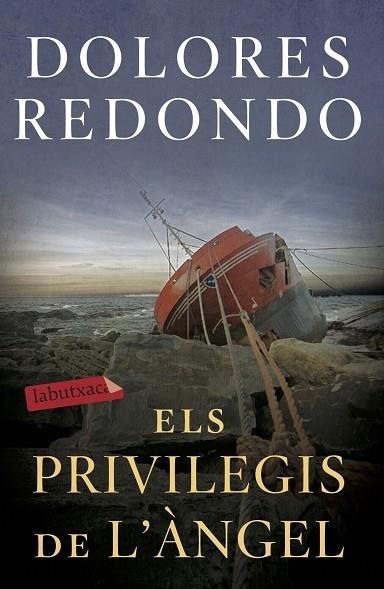 ELS PRIVIGELIS DE L'ANGEL | 9788417423971 | DOLORES REDONDO