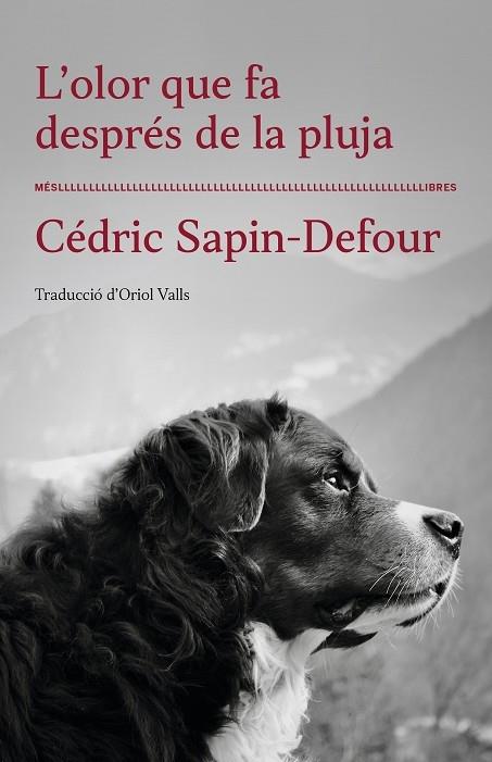 L'OLOR QUE FA DESPRES DE LA PLUJA | 9788417353568 | CEDRIC SAPIN-DEFOUR