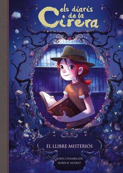 EL LLIBRE MISTERIOS | 9788420487816 | JORIS CHAMBLAIN / AURELIE NEYRET