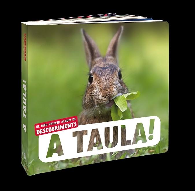 A TAULA! | 9788418762710 | JULIETTE EINHORN