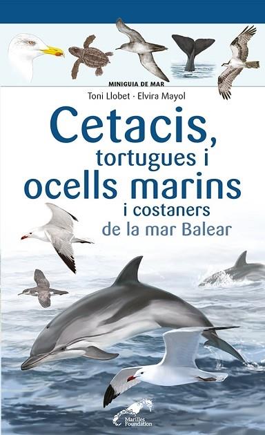 CETACIS, TORTUGUES I OCELLS MARINS I COSTANERS DE LA MAR BAL | 9788413562735 | TONI LLOBET / ELVIRA MAYOL