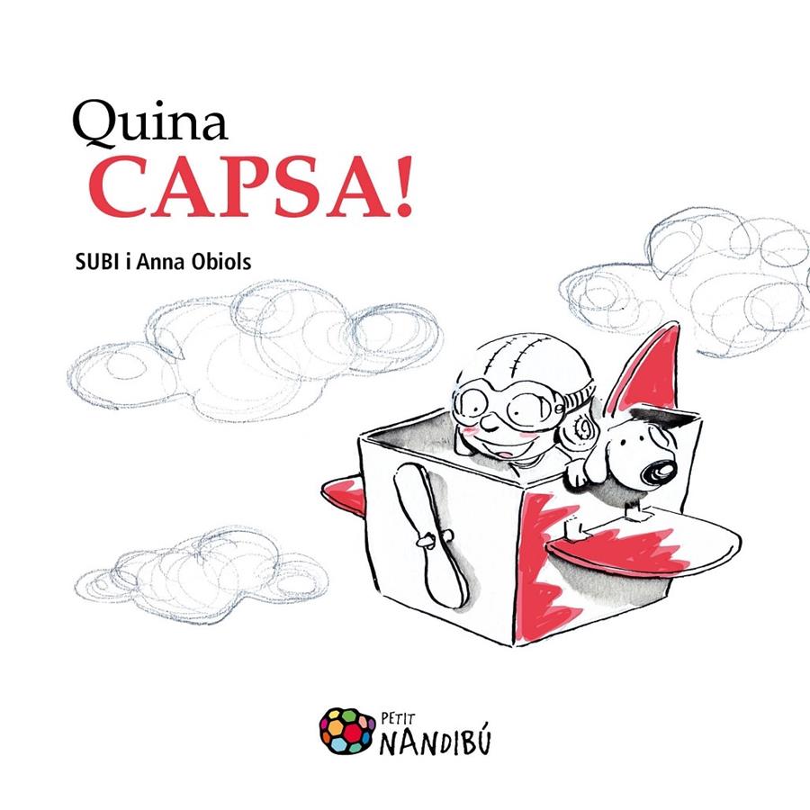 QUINA CAPSA! | 9788499756486 | SUBI I ANNA OBIOLS