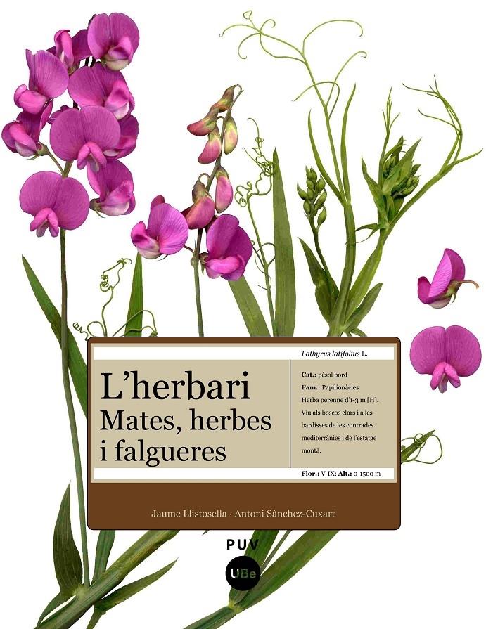 L'HERBARI. MATES, HERBES I FALGUERES | 9788447531905 | JAUME LLISTOSELLA / ANTONI SÁNCHEZ-CUXART