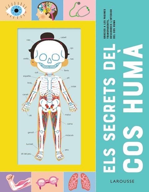 ELS SECRETS DEL COS HUMA | 9788418473227