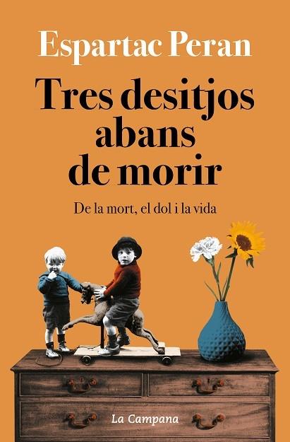 TRES DESITJOS ABANS DE MORIR     DE LA MORT, EL DOL I LA VID | 9788418226731 | ESPARTAC PERAN