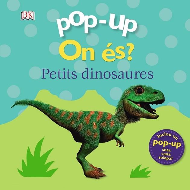 PETITS DINOSAURES | 9788499063270