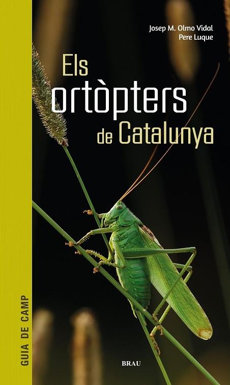 ELS ORTOPTERS DE CATALUNYA | 9788418096266 | JOSEP M. OLMO VIDAL / PERE LUQUE