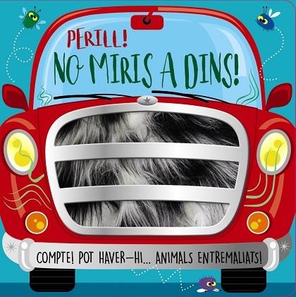 PERILL NO MIRIS DINS | 9788413491851