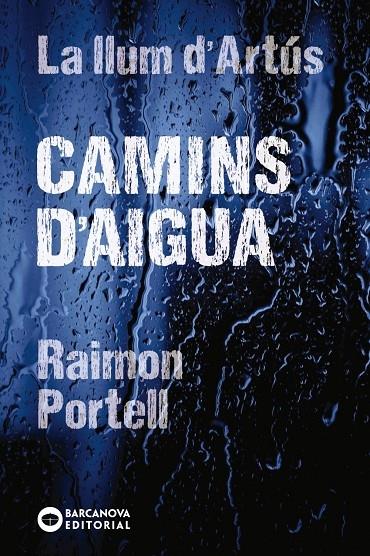 CAMINS D'AIGUA | 9788448942144 | RAIMON PORTELL