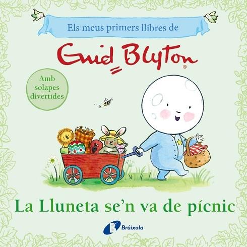 LA LLUNETA S'EN VA DE PICNIC | 9788413494098 | ENID BLYTON