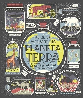 EL MERAVELLOS PLANETA TERRA | 9788491378778 | RACHEL IGNOTOFSKY