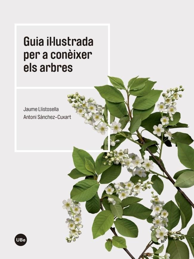 GUIA IL·LUSTRADA PER A CONEIXER ELS ARBRES | 9788447542444 | JAUME LLISTOSELLA / ANTONI SANCHEZ-CUXART