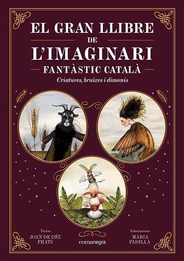 EL GRAN LLIBRE DE L'IMAGINARI FANTASTIC CATALA | 9788419590558 | JOAN DE DEU PRATS / MARIA PADILLA