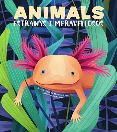 ANIMALS ESTRANYS I MERAVELLOSOS | 9788468270685 | CRISTINA BANFI / ROSELLA TRIONFETTI