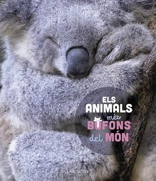 ELS ANIMALS MES BUFONS DEL MON | 9788419436184