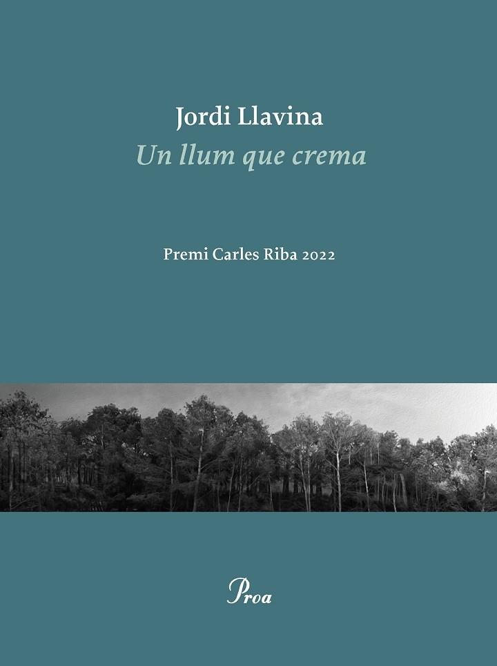 LA LLUM QUE CREMA | 9788475889979 | JORDI LLAVINA