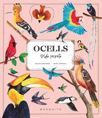 OCELLS   VIDA SECRETA | 9788419095534 | DIANA ESCOBAR / RENA ORTEGA