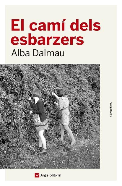 EL CAMI DELS ESBARZERS | 9788417214562 | ALBA DALMAU