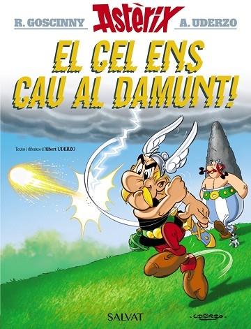 EL CEL ENS CAU AL DAMUNT | 9788469603130 | GOSCINNY - UDERZO