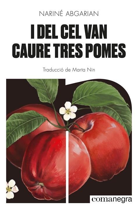 I DEL CEL VAN CAURE TRES POMES | 9788418857041 | NARINE ABGARIAN