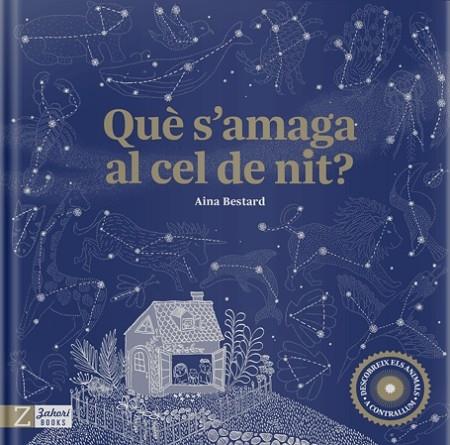 QUE S'AMAGA AL CEL DE NIT? | 9788417374945 | AINA BESTARD