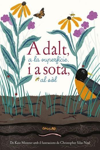 A DALT, A LA SUPERFICIE, I A SOTA, AL SOL | 9788484705765 | KATE MESSNER / CHRISTOPHER SILAS NEAL