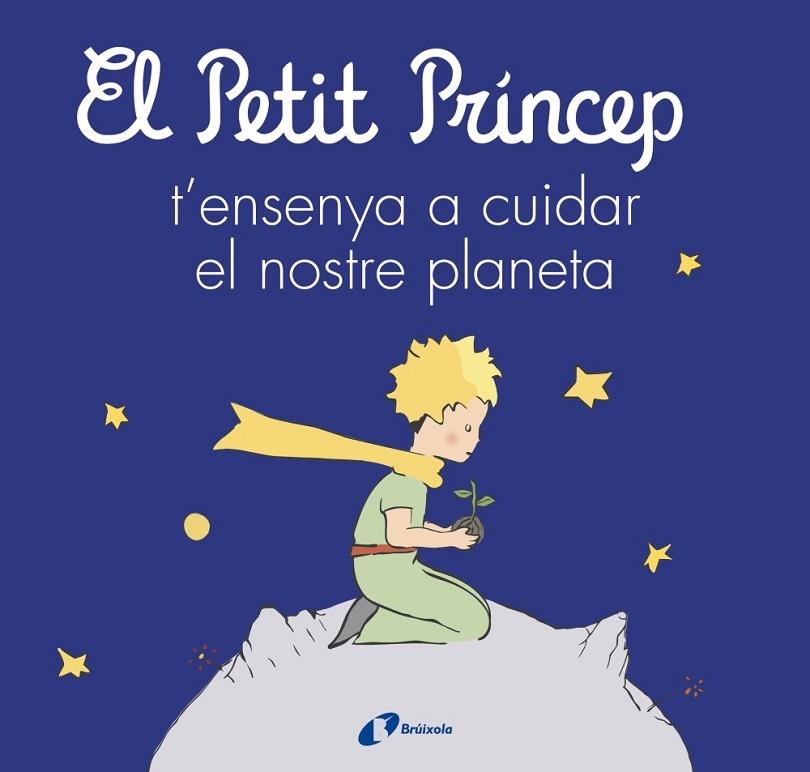 EL PETIT PRINCEP T'ENSENYA A CUIDAR EL NOSTRE PLANETA | 9788413493046