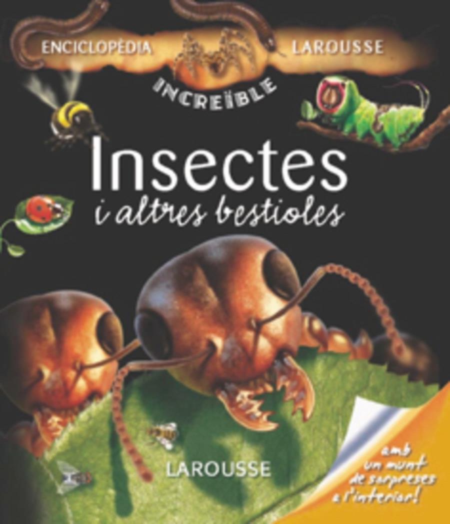 INSECTES I ALTRES BESTIOLES | 9788480165983