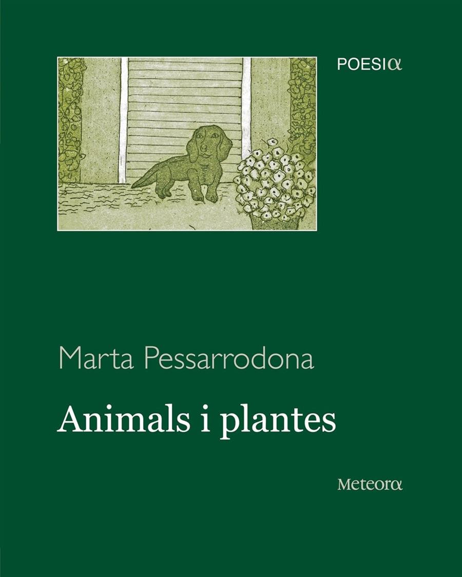 ANIMALS I PLANTES | 9788495623973 | MARTA PESSARRODONA