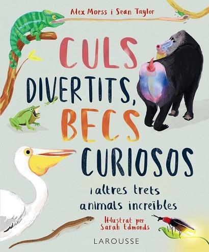 CULS DIVERTITS, BECS CURIOSOS I ALTRES TRETS ANIMALS INCREIB | 9788419436016 | ALEX MORSS / SEAN TAYLOR