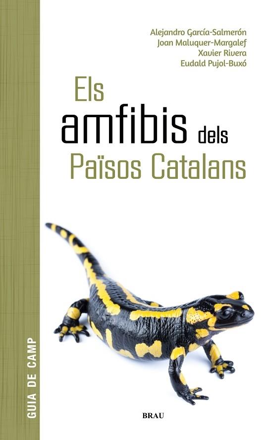 ELS AMFIBIS DELS PAISOS CATALANS | 9788418096341 | AAVV