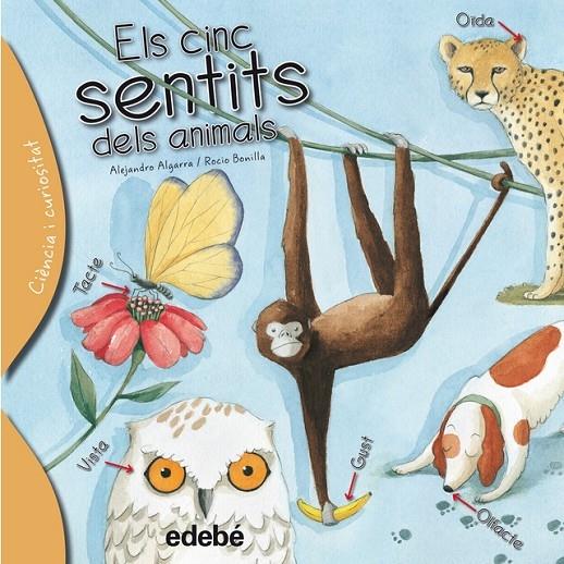 ELS CINC SENTITS DELS ANIMALS | 9788468329635 | ALEJANDRO ALGARRA / ROCIO BONILLA