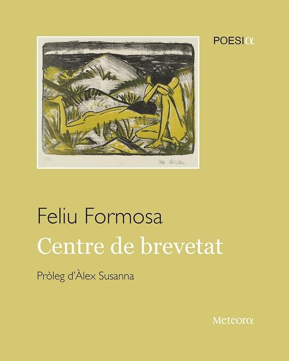 CENTRE DE BREVETAT | 9788412293050 | FELIU FORMOSA