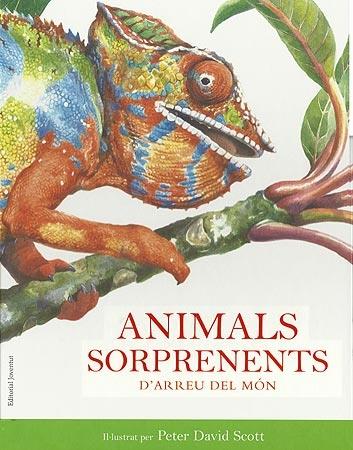 ANIMALS SORPRENENTS D'ARREU DEL MON | 9788426138712 | PETER DAVID SCOTT