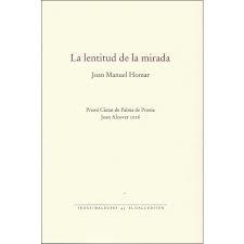 LA LENTITUD DE LA MIRADA | 9788416416165 | JOAN MANUEL HOMAR