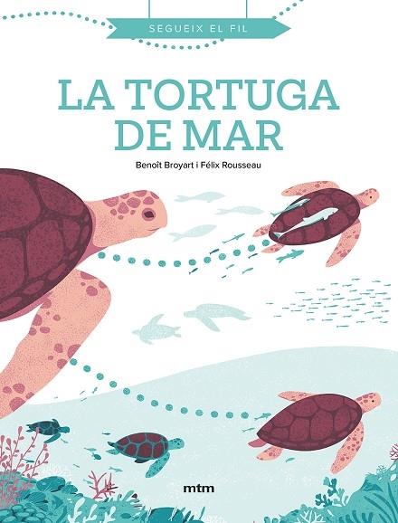 LA TORTUGA DE MAR | 9788417165574 | BENOIT BROYART / FELIX ROUSSEAU