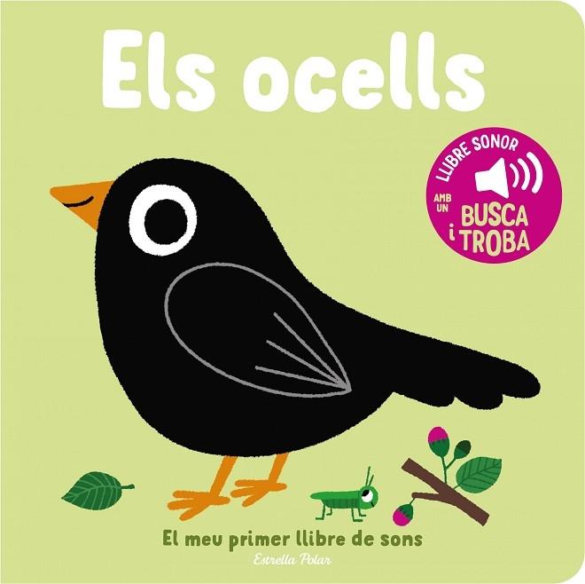 ELS OCELLS | 9788413893969