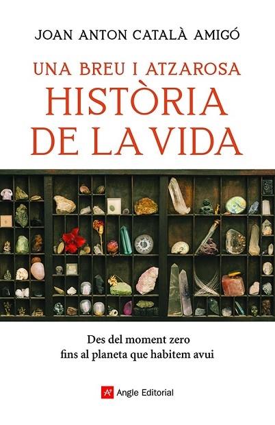 UNA BREU I ATZAROSA HISTORIA DE LA VIDA | 9788418197956 | JOAN ANTON CATALA AMIGO