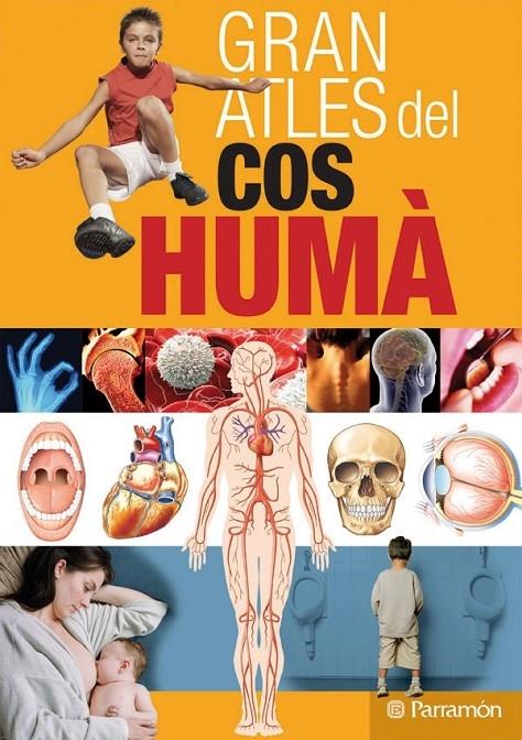 GRAN ATLES DEL COS HUMÀ | 9788434228795 | AAVV